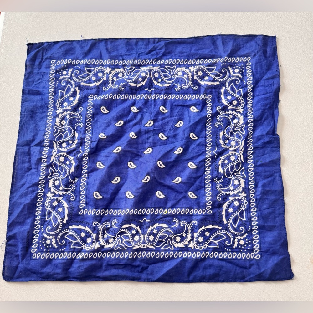 Blue Paisley Bandana